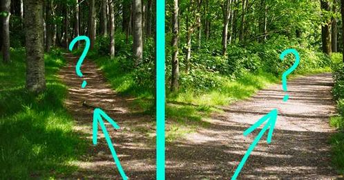 You're Lost In The Woods — Can You Make The Right Decisions To Get Out?