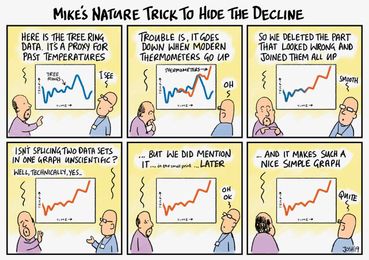 ‘Mikes Nature Trick’ Revisited