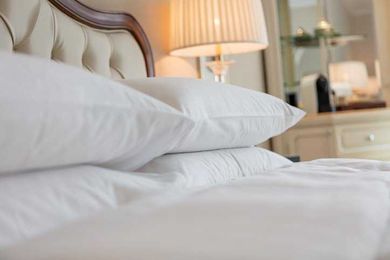 Five Proactive Measures To Prevent Bed Bugs — LODGING