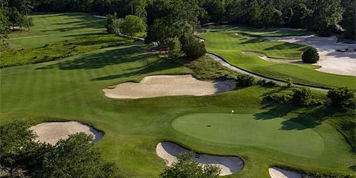 Debunking The 3 Biggest Myths About True Blue