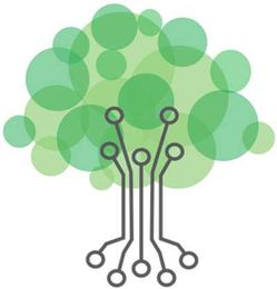 Promote collaboration and creativity to dispel stereotypes about CS.