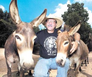 Pet talk: Miniature donkeys as pets