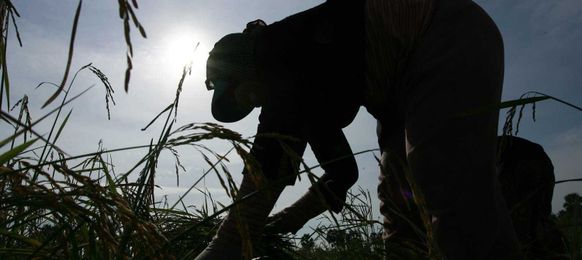 'Food Shocks' Have Become More Common Over Last 50 Years, Report Says