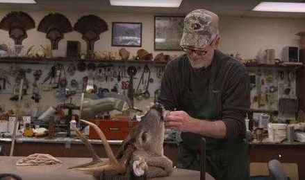 How To Cape a Buck for Taxidermy