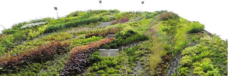 How Sustainability is Shaping Modern Architecture