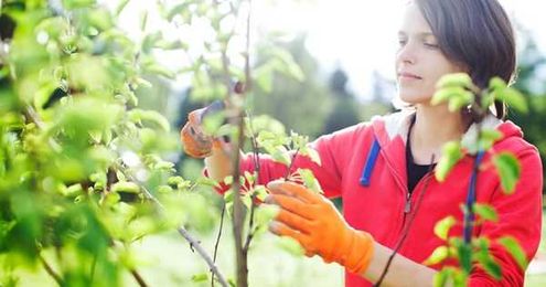 Dear Admission Dean: What Parents Can Learn From Their College Applicant