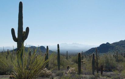 Forming Relationships with the Road: An Interview with Tom Zoellner 