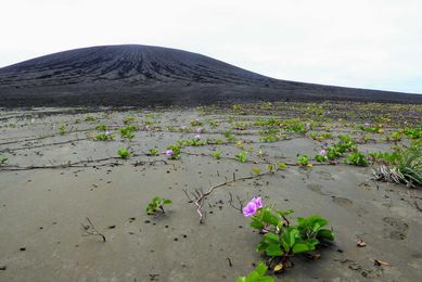 Scientists Visit a Rare New Island They Watched Grow Out of the Waves