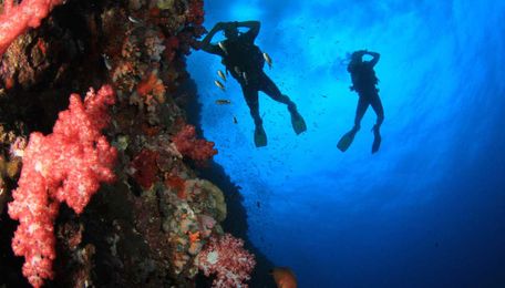 7 Ways to Rekindle Your Love of Scuba Diving