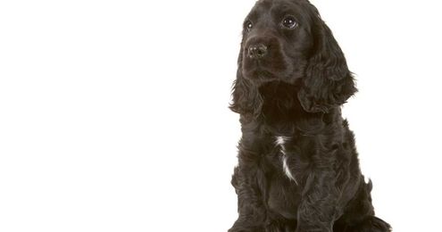 11 Ways to Prioritize Alone Time Every Day