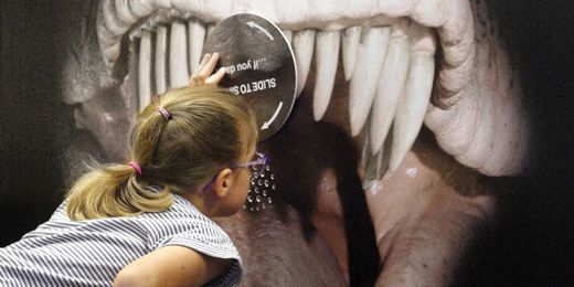 Where to hunt for dinosaurs in Dorset