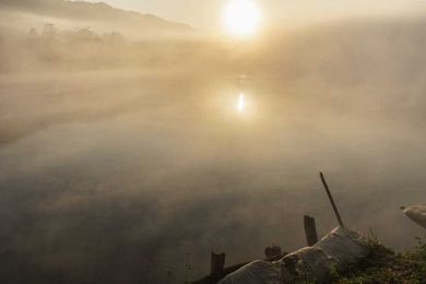 A physician leaves her practice and finds beauty in the struggle