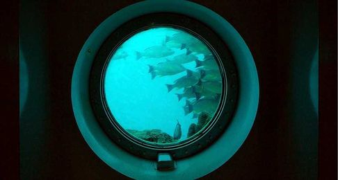 A self-cleaning glass keeps itself spotless underwater