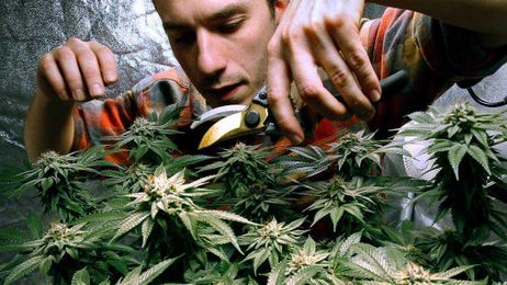 Is Kansas ready to allow medical marijuana? Lawmakers should say yes this year