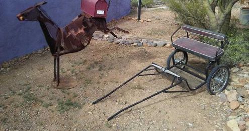 Bucking Betty coming soon to a home near you?