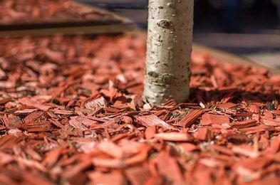A Mulch Delivery Can Help You Enjoy Low-Maintenance Landscaping