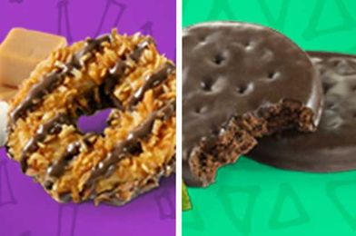 Everyone's Personality Matches A Girl Scout Cookie — Here's Yours