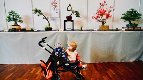 There’s a good reason bonsai growers think of trees as their children