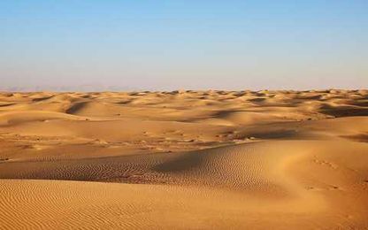 Can We Live Without Trees and How to Save Them