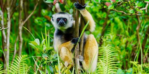 Wildlife Experiences to Avoid on Your Next Adventure