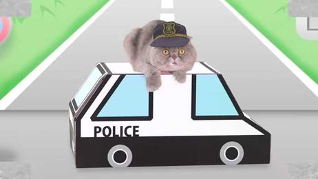 Watch: Japanese Company Creates Traffic Safety Video for Cats