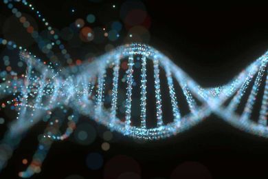 We don’t know what a fifth of our genes do