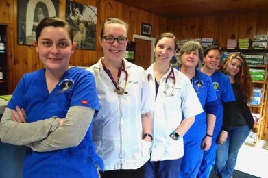 Business owners care for creatures, create community