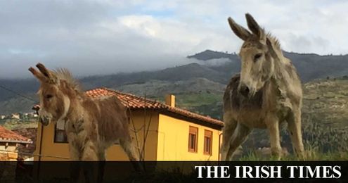 Vamos, amigos! This was a different class of language trip