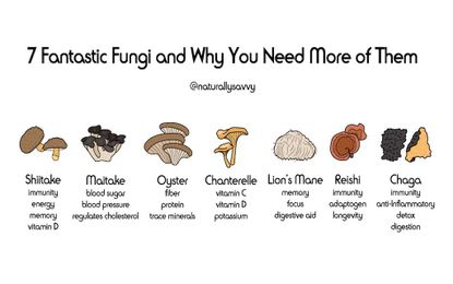 Why Mushrooms Are Good For You and Why You Should Eat More of Them