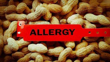 A 'Cure' for Peanut Allergy?