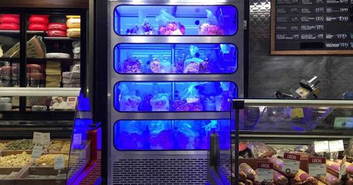 In-store mini farms could change how we eat