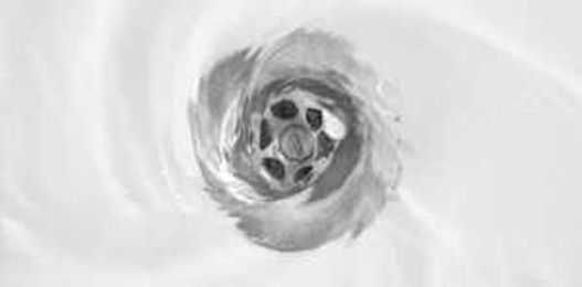 Why you should add drain and sewer cleaning to your spring home checklist