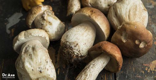 The fungus that fights inflammation & colon cancer cells