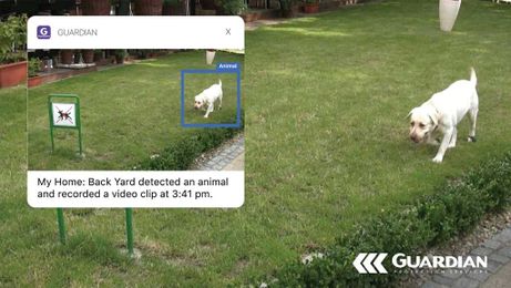 Your Video Security Just Got Really, Really Smart!