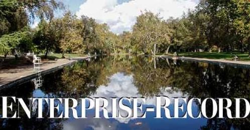 Feeding your dog, part one: What’s really in your pet’s food?