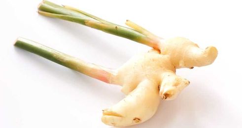 How to Grow Ginger Indoors