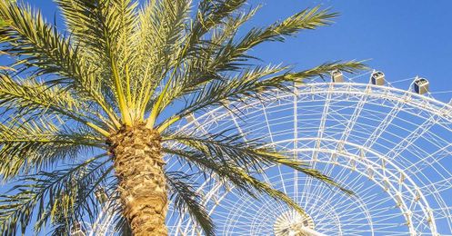 8 Things to Do and See after WordCamp Miami