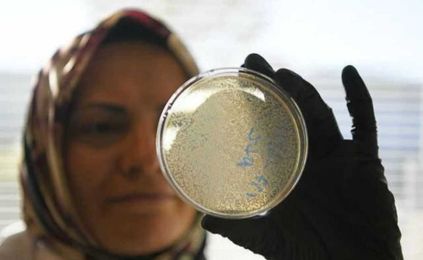 Designer bacteria: The end of fertilizer?