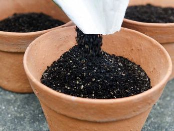 How to Choose Potting Mix