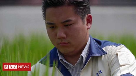 How urban farming is helping to feed Tokyo