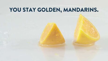 So… what is a Gold Nugget mandarin?