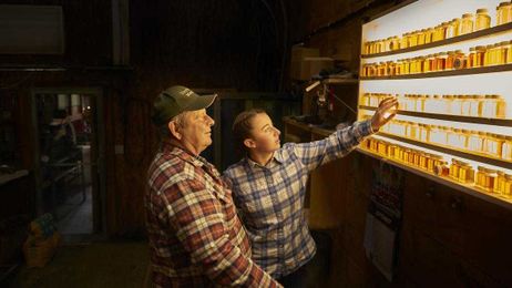 Like maple syrup on your pancakes? You have a tree to thank for the treat