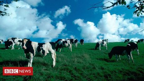 Pledge to cut emissions from dairy farms