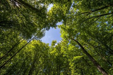 What’s the difference between seeing and being?