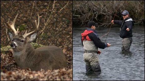 How does the rainy weather affect wildlife and fishing?