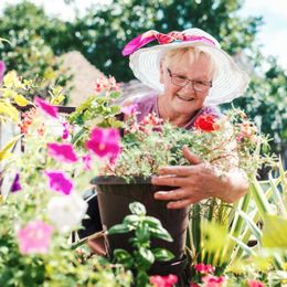 25 Tips for Planning the Perfect Garden