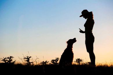 Hand Signals for Dog Obedience Training