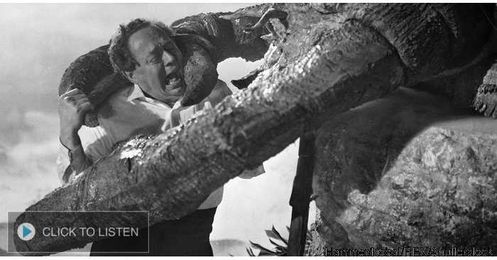 Why are these lobster claws at Costco so big?!!!!