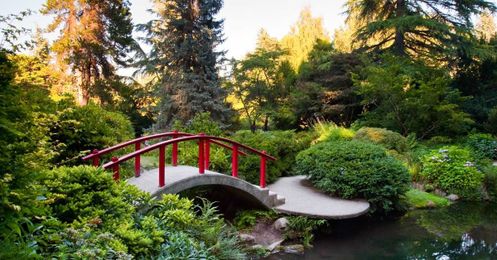 13 breathtaking Seattle-area botanical gardens