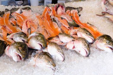 Small Ocean 'Hot Spots' Could Provide All the Seafood We Need